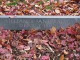 image of grave number 810031